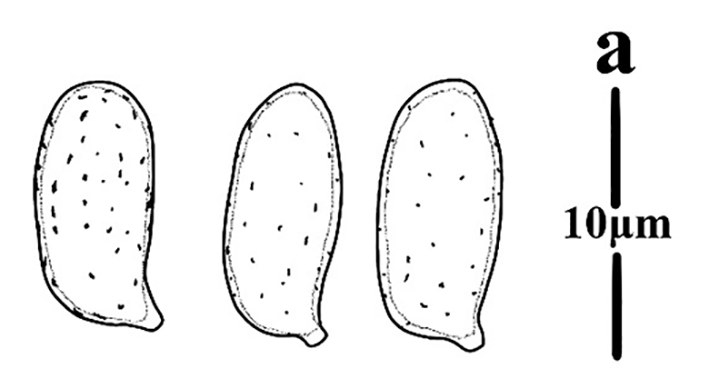 Figure 87